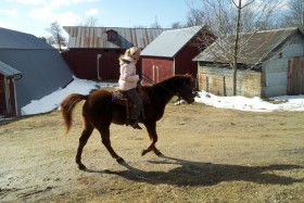 Riding an Old Horse